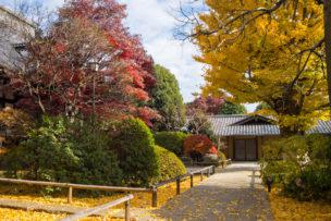 予約前に確認したい 高円寺駅の小児歯科のおすすめポイント掲載中