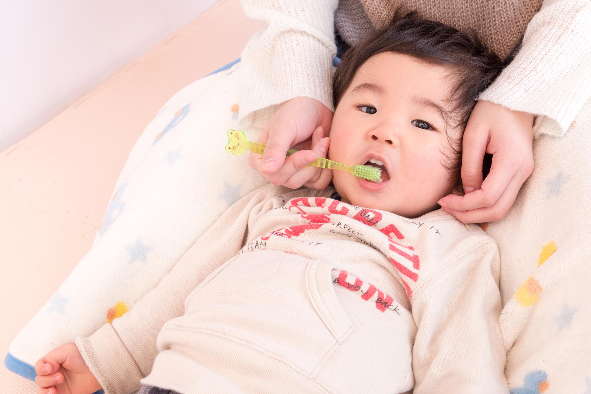 赤ちゃんに歯みがきは必要 始める時期と磨く回数について